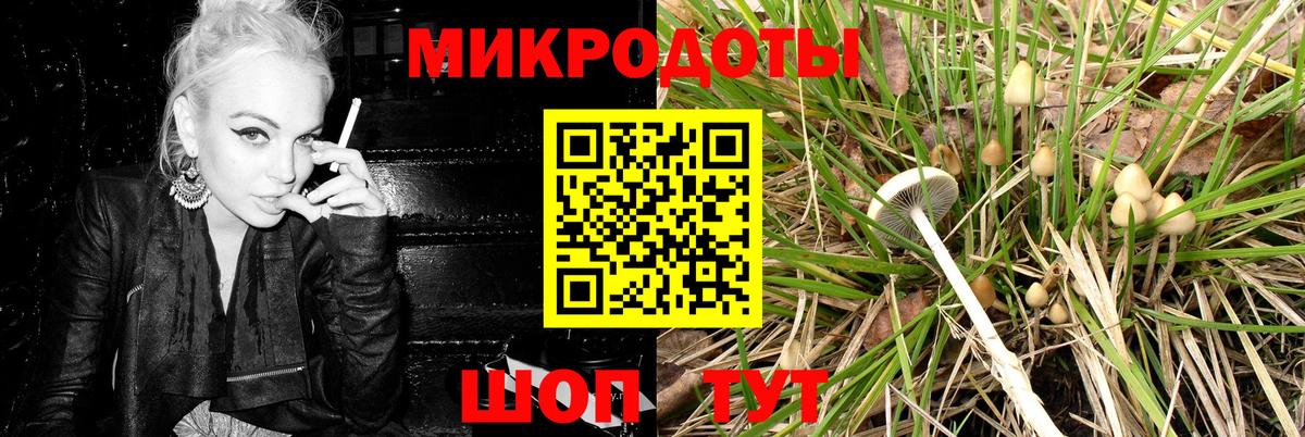 Псилоцибиновые грибы GOLDEN TEACHER  Вход с VPN  продажа наркотиков  Кумертау 